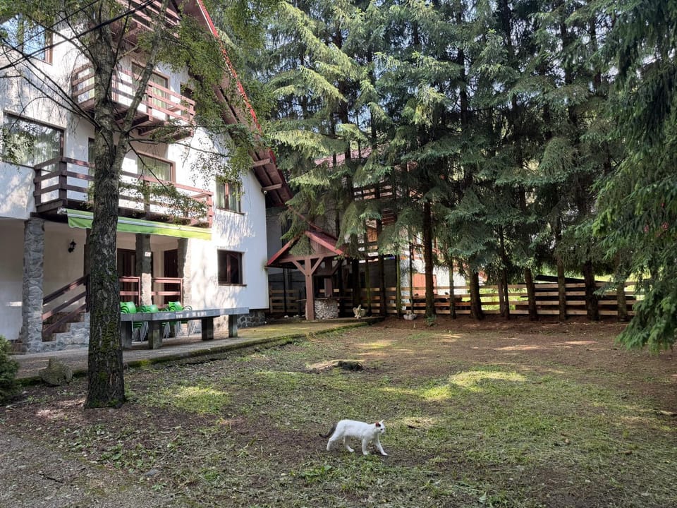 Casa Mario Nature lodge in Romania
