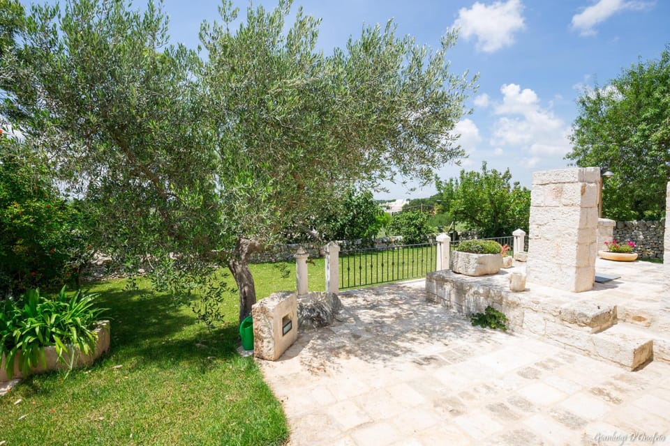 Day, Natural landscape, Garden view