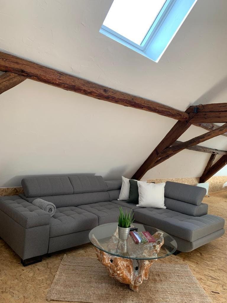 Alte Scheune Birkweiler Apartment in Rhineland-Palatinate