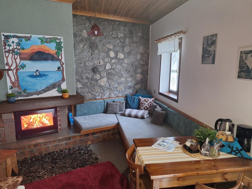 Seating area, fireplace