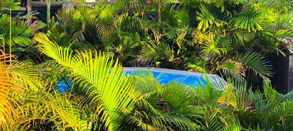 APPARTEMENT SANS SOUCIS Apartment in Martinique