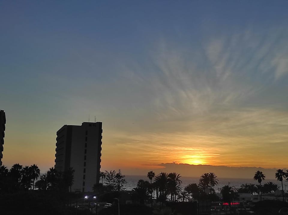 Big room with shared bath and kitchen, 20m2, with terrace and ocean view Apartment in Playa de las Americas
