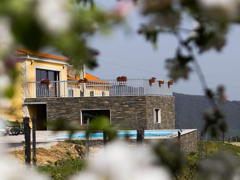 Quinta da Laceira - Douro Valley - Alojamento Local House in Vila Real District