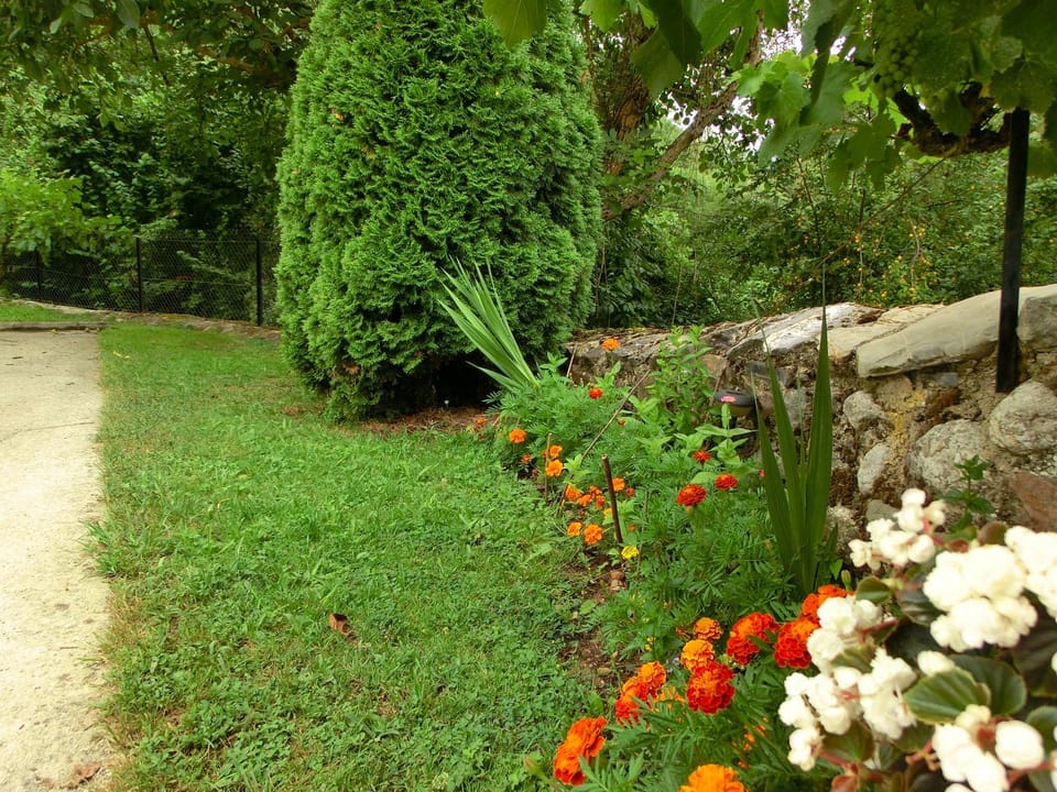 Garden, Garden view