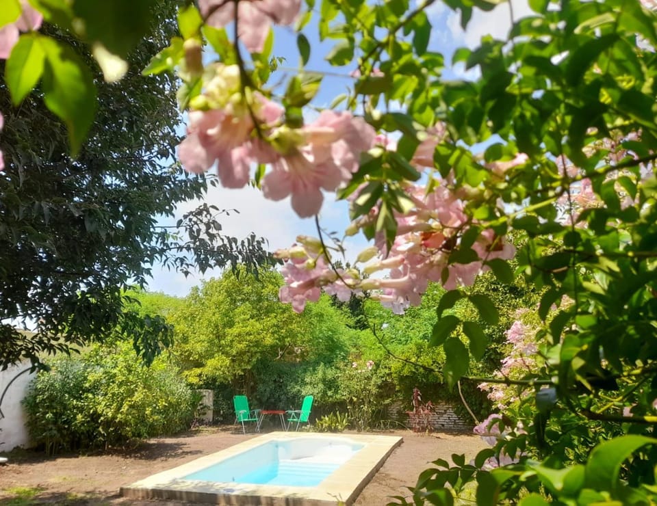 Garden, Swimming pool