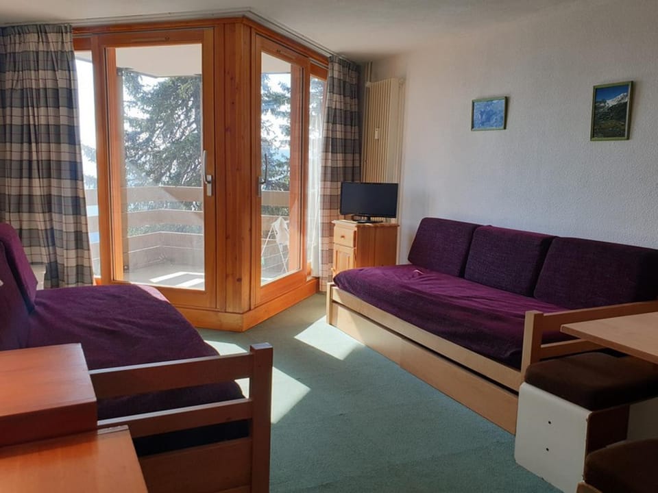 Studio confortable proche des pistes avec WIFI - FR-1-275-142 Apartment in Montvalezan