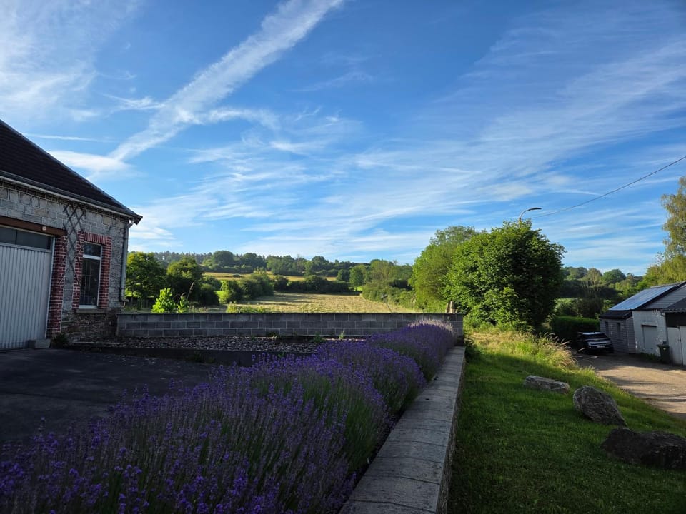 Maison de vacances aux portes des Fagnes House in Wallonia, Belgium