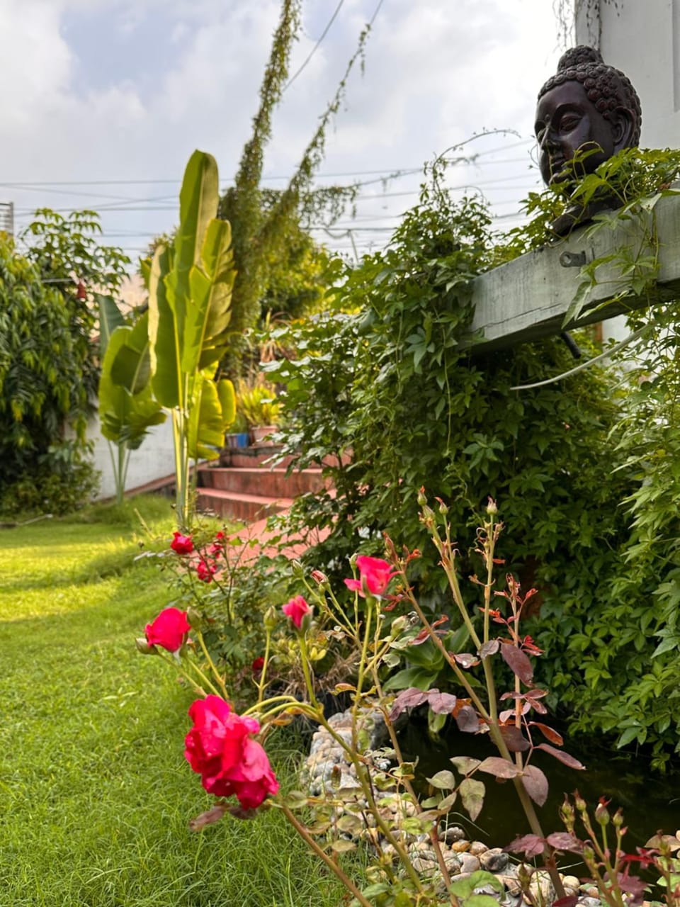 The Rukmani Homestay & Garden Vacation rental in Udaipur