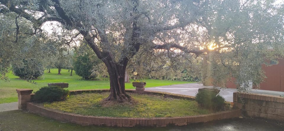 Casolare L'Antico Olivo House in Emilia-Romagna