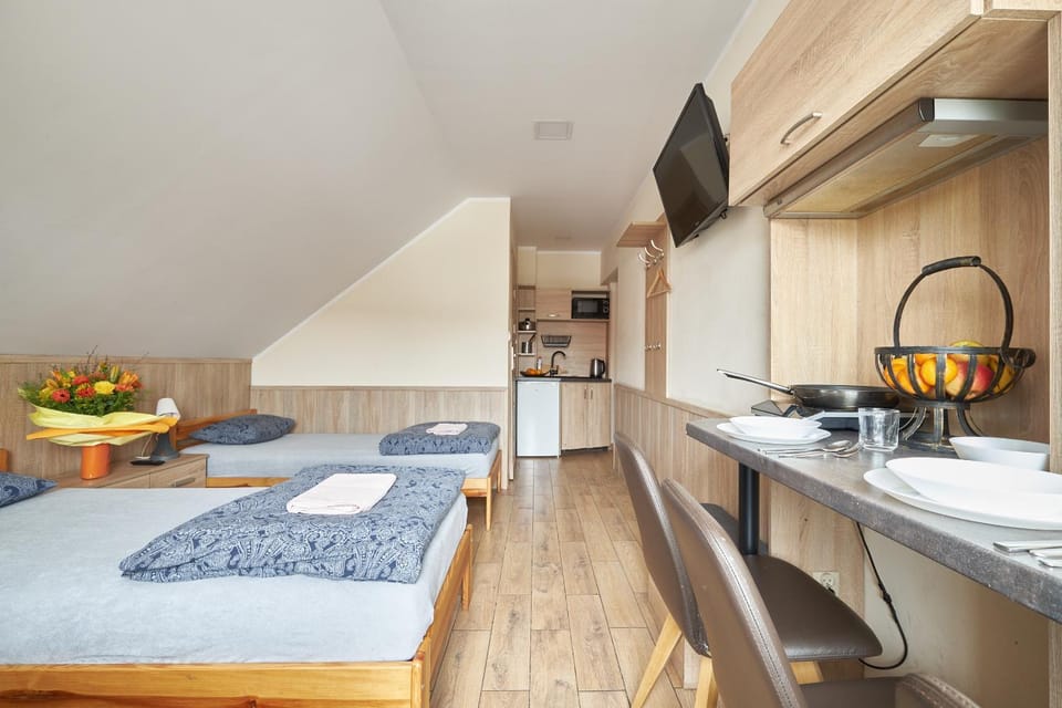 Bed, TV and multimedia, Kitchen or kitchenette, Photo of the whole room, stove