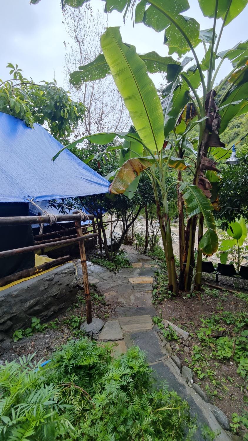 Hobo Rivercamp Luxury tent in Uttarakhand