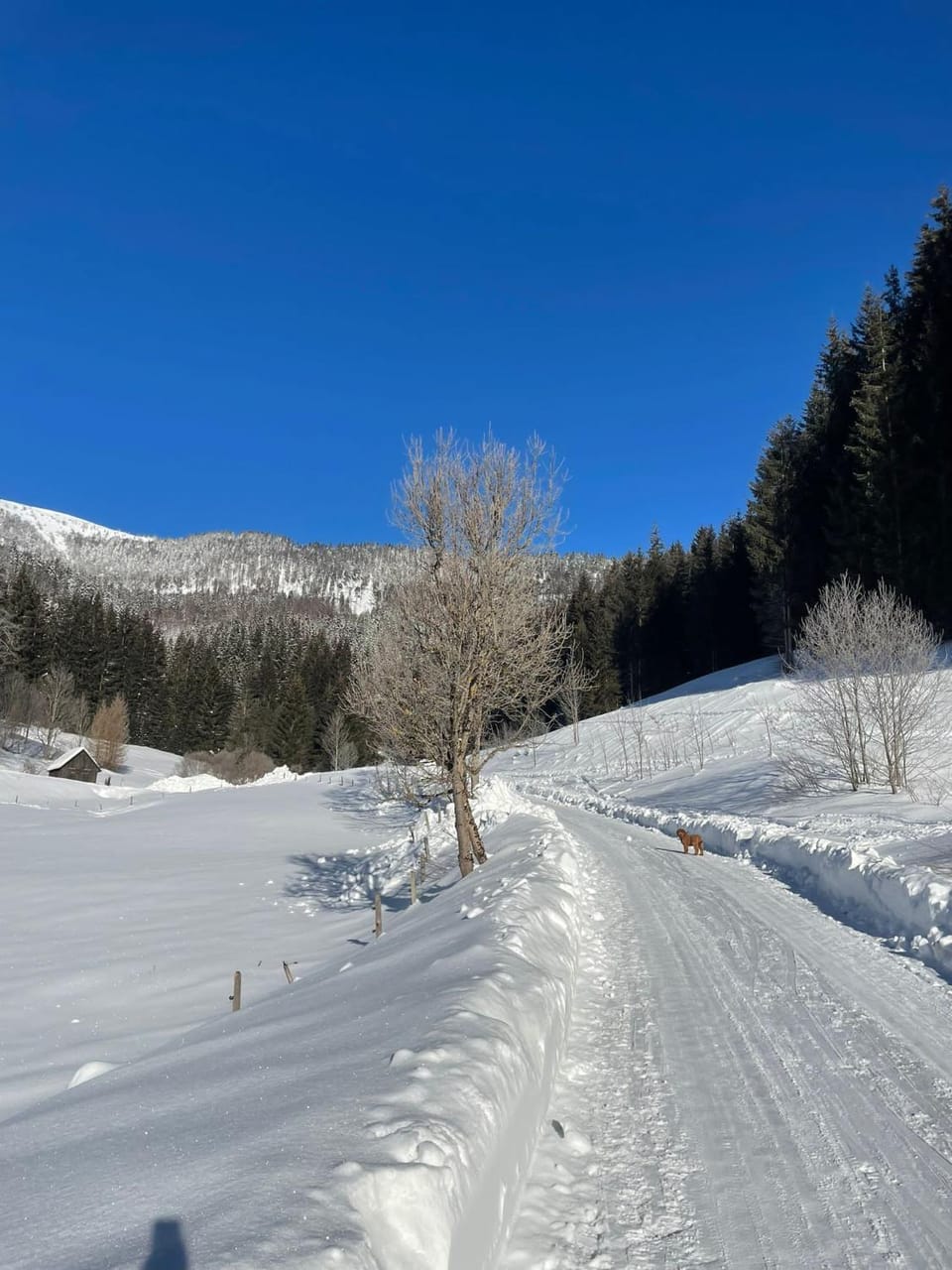 Day, Natural landscape, Winter, Mountain view