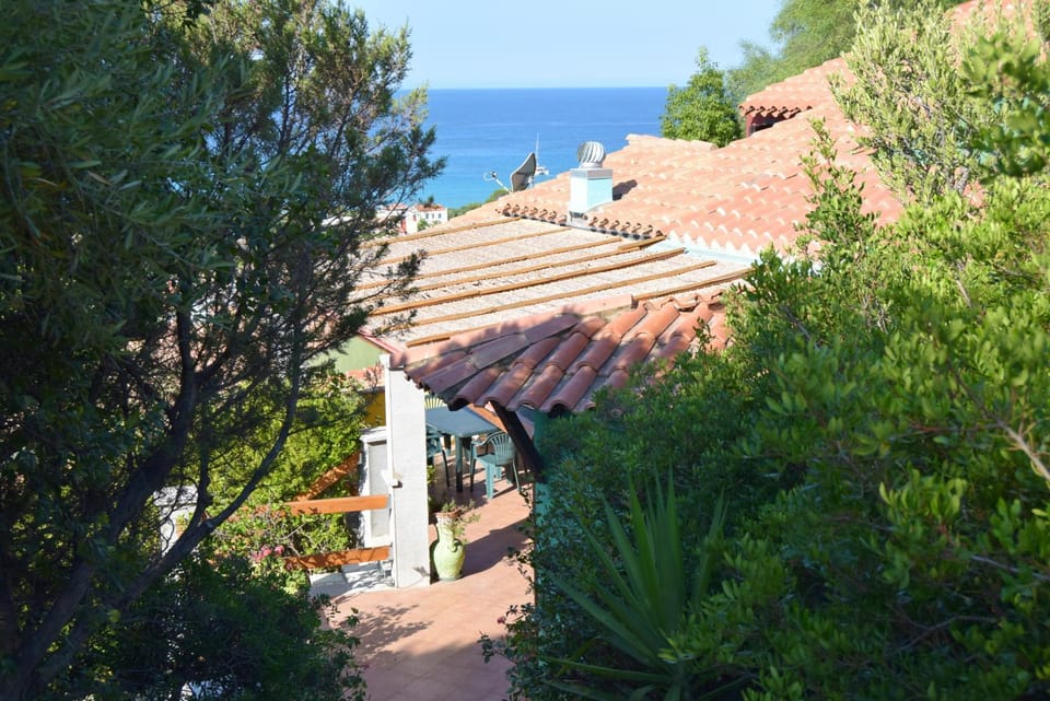 Garden, Sea view
