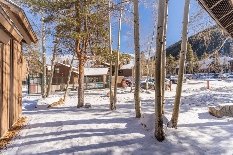 Wild Irishman #1093 Apartment in Keystone