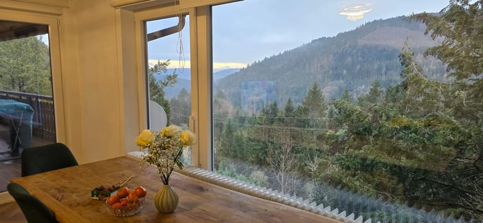 Wohnung im Schwarzwald mit Panorama Blick Apartment in Baden-Württemberg