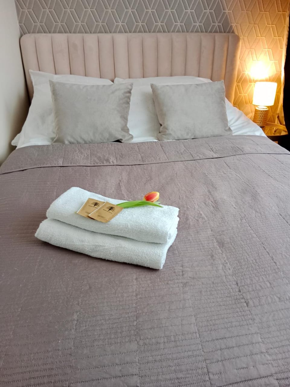 Apartament Glamour Chełm Apartment in Poland