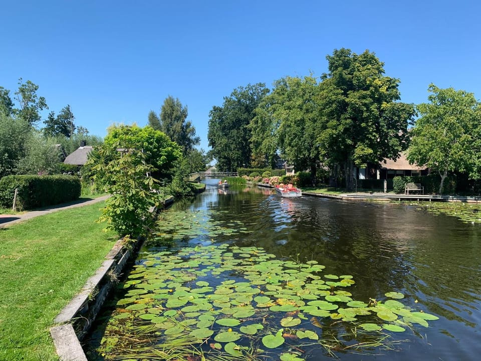 Lake view