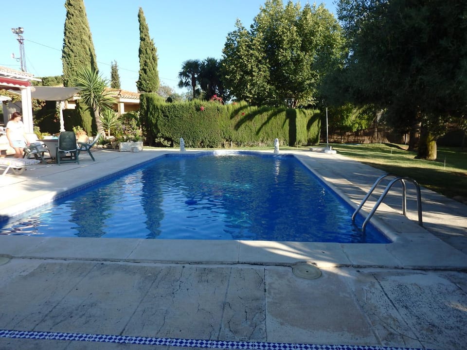 Pool view, Swimming pool, sunbed