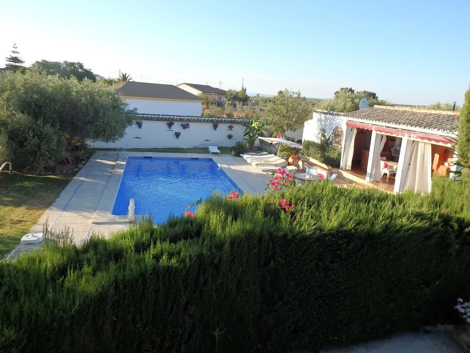 Garden, Pool view, Swimming pool
