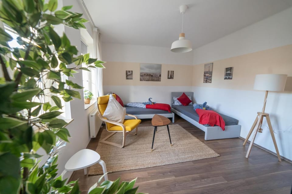 Bed, Living room, Photo of the whole room, Seating area, Bedroom