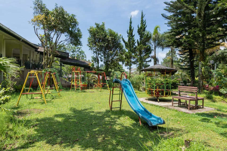 Children play ground, Garden