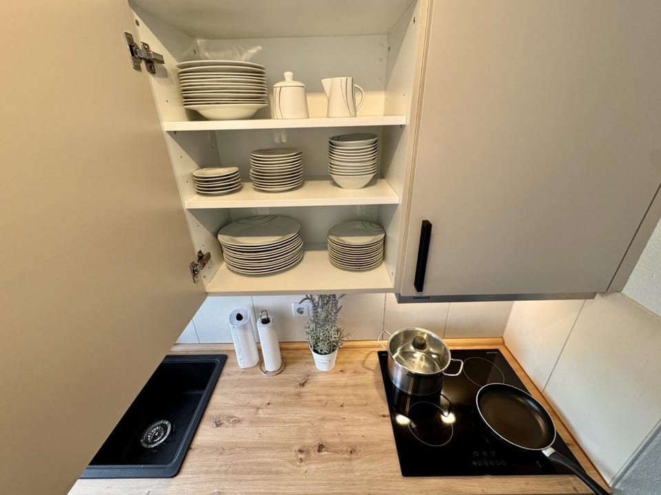 Kitchen or kitchenette, kitchen