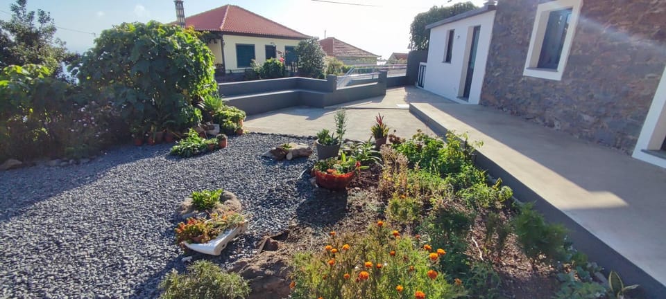 Casa Magic Vieira New well located with services Apartment in Madeira District