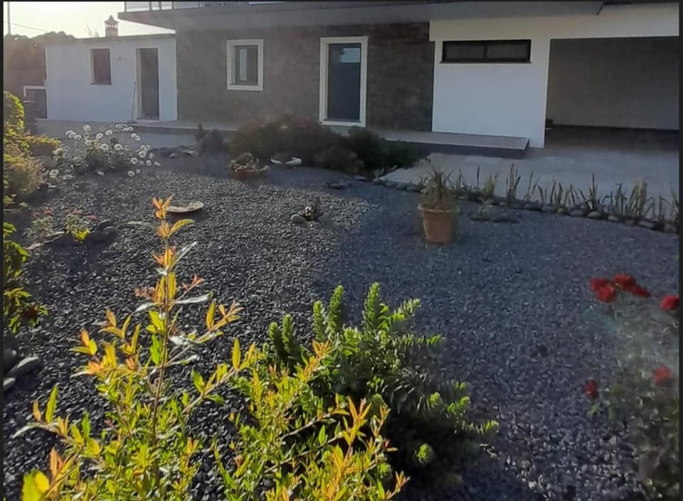 Casa Magic Vieira New well located with services Apartment in Madeira District