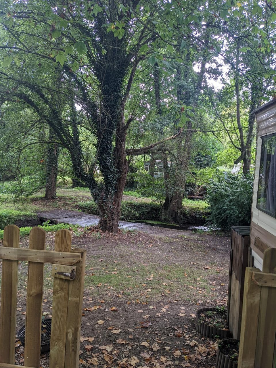 Natural landscape, Garden