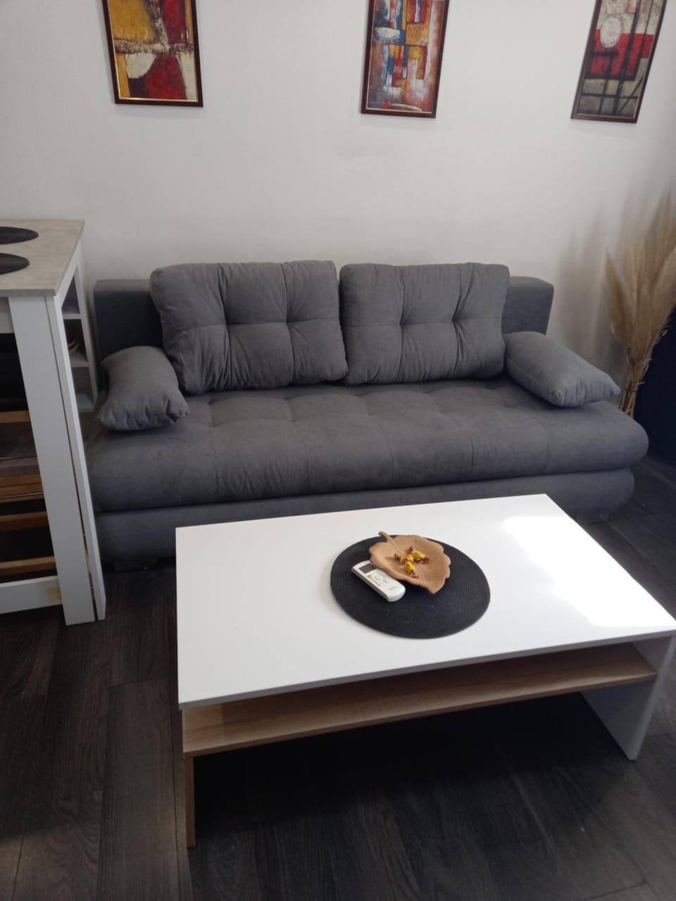 Apartman Mici Apartment in Serbia