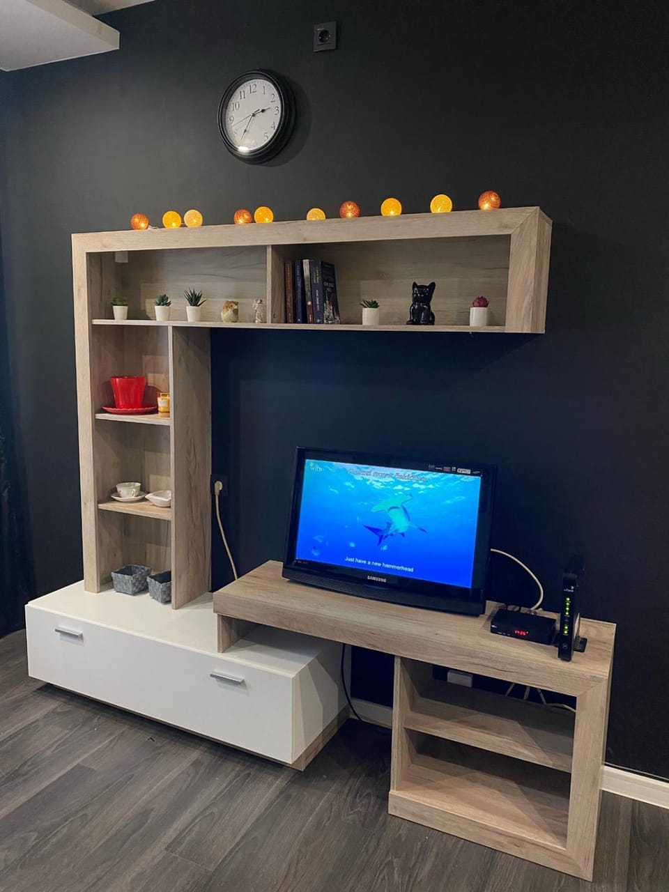 Apartman Mici Apartment in Serbia