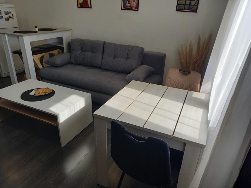 Apartman Mici Apartment in Serbia