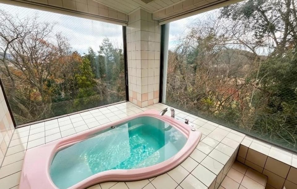 ホテル アルファ Love hotel in Japan