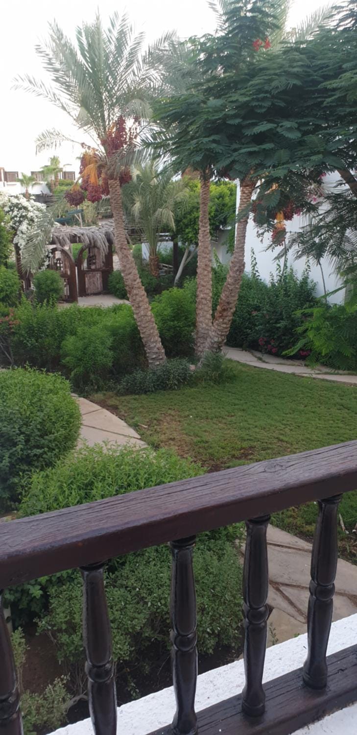Garden view
