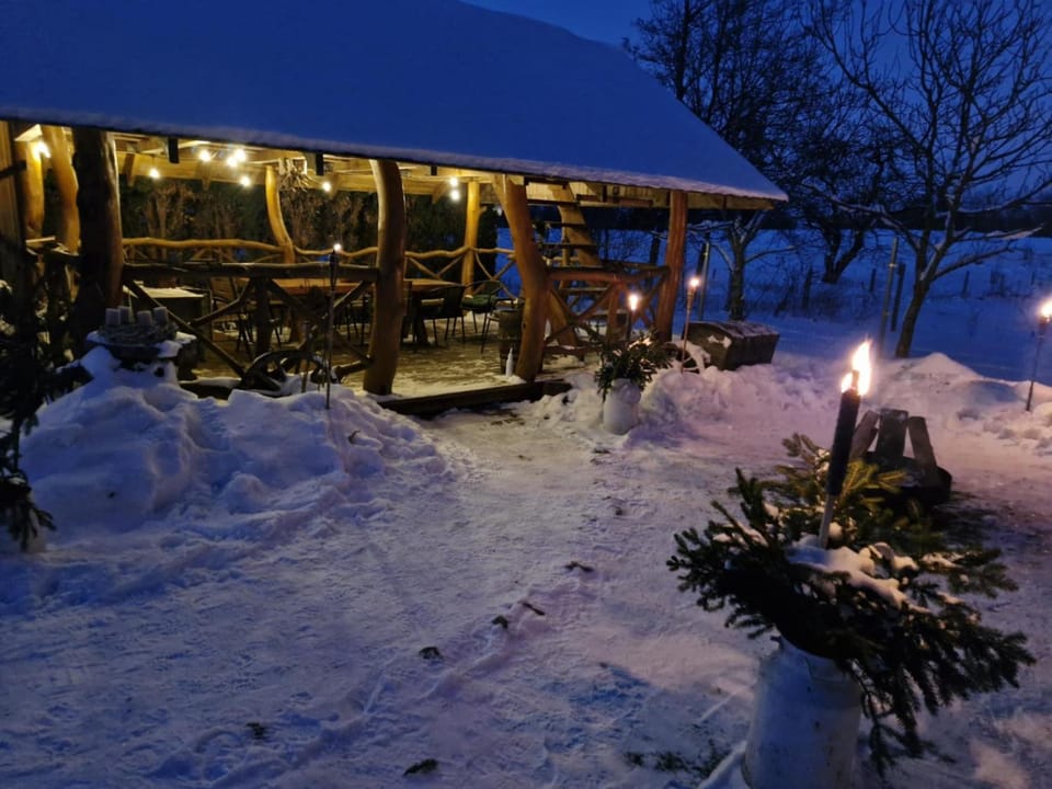 Natural landscape, Winter