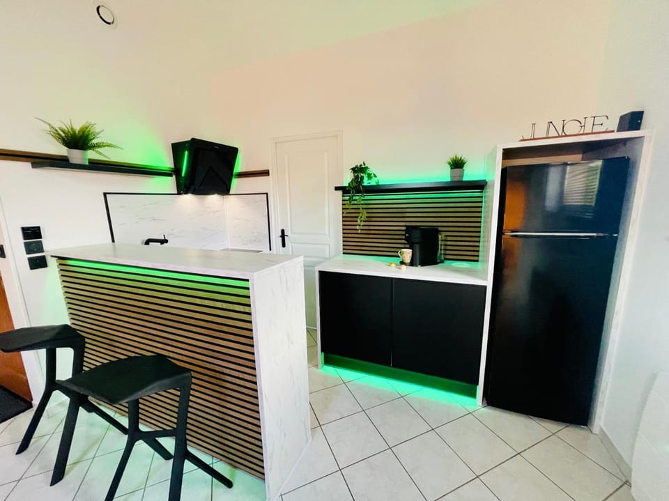 Le Jungle Apartment in Grand Est