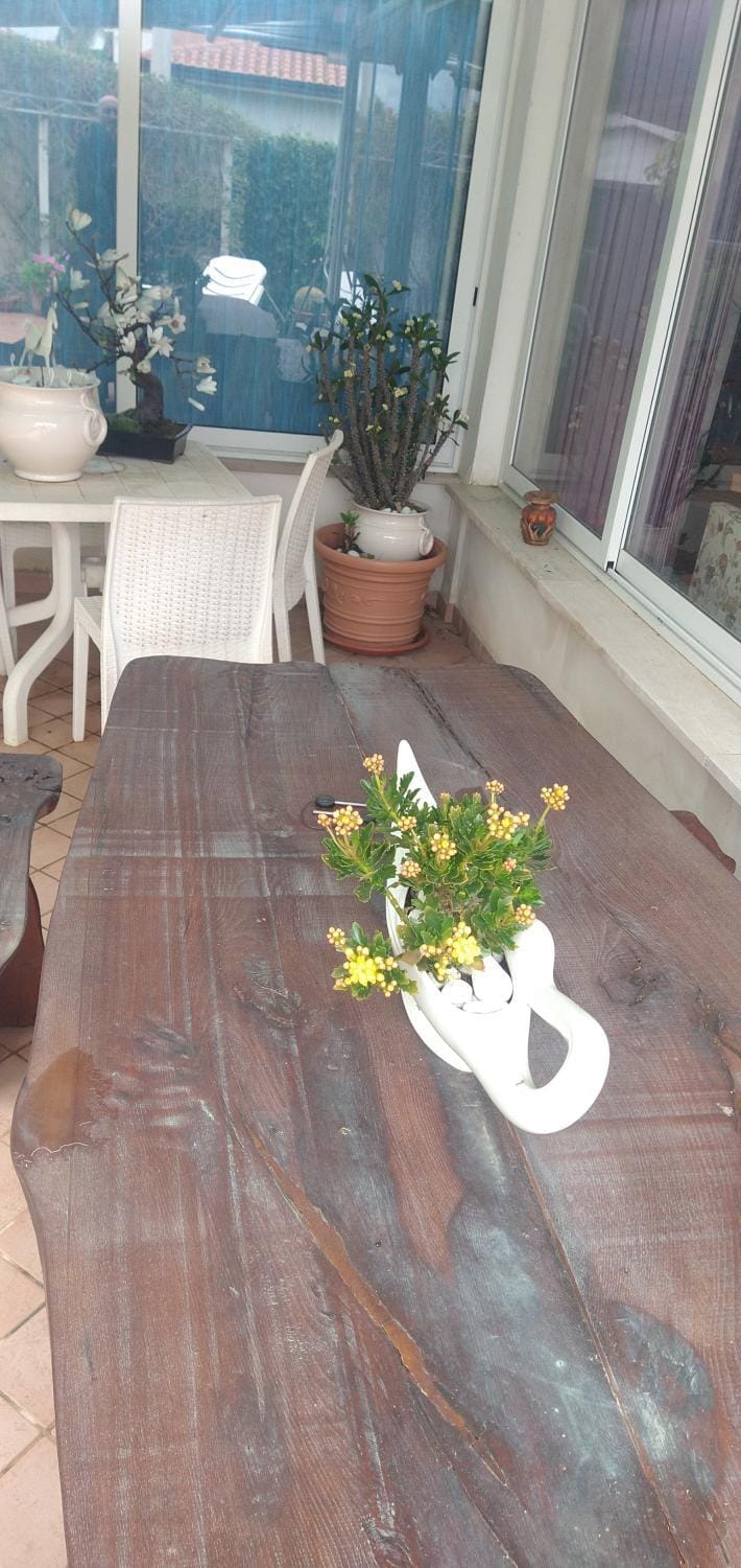 Balcony/Terrace, Dining area