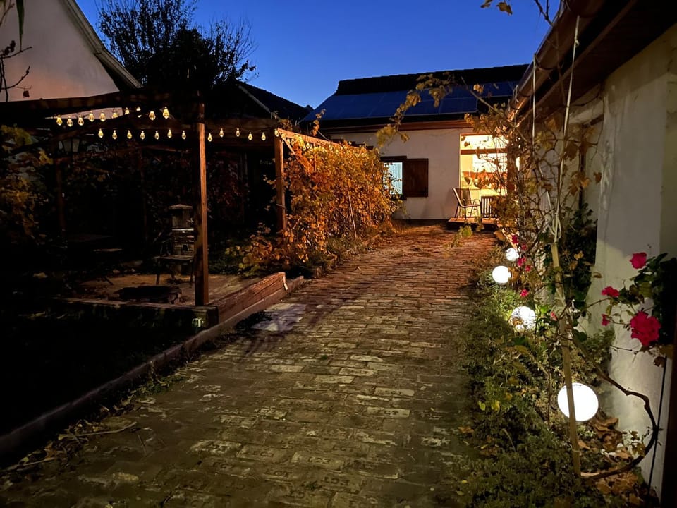 Night, Garden view