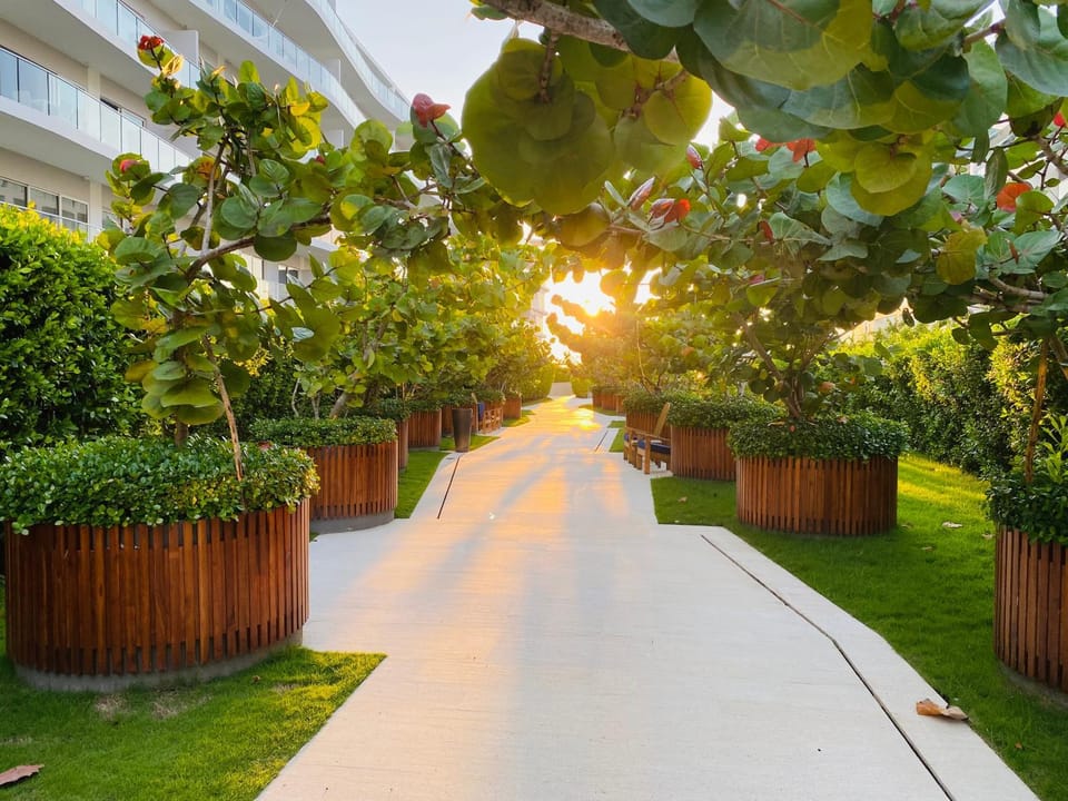 Day, Garden, Garden view