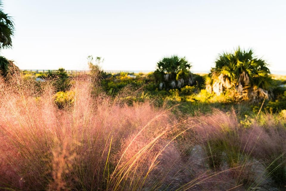 Song of the Sea by Pristine Properties Vacation Rentals House in Florida