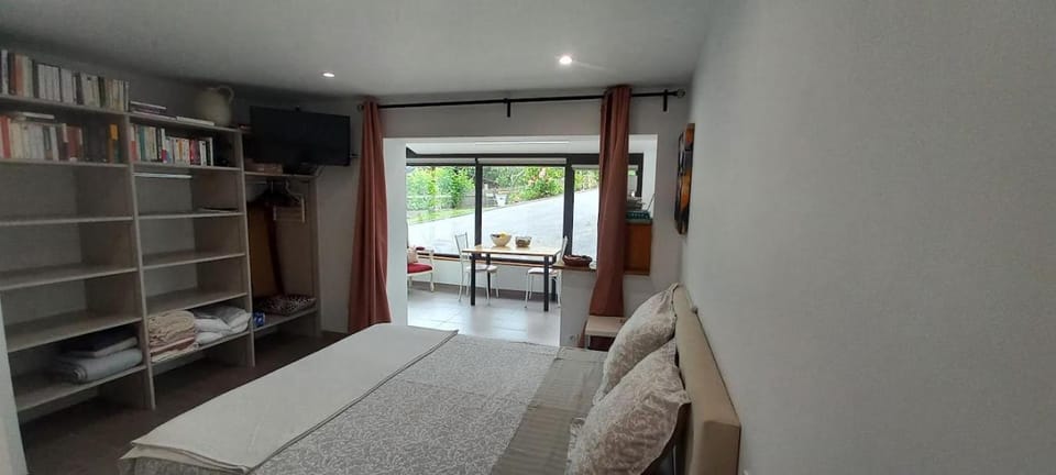 Bed, Library, TV and multimedia, Photo of the whole room, Bedroom