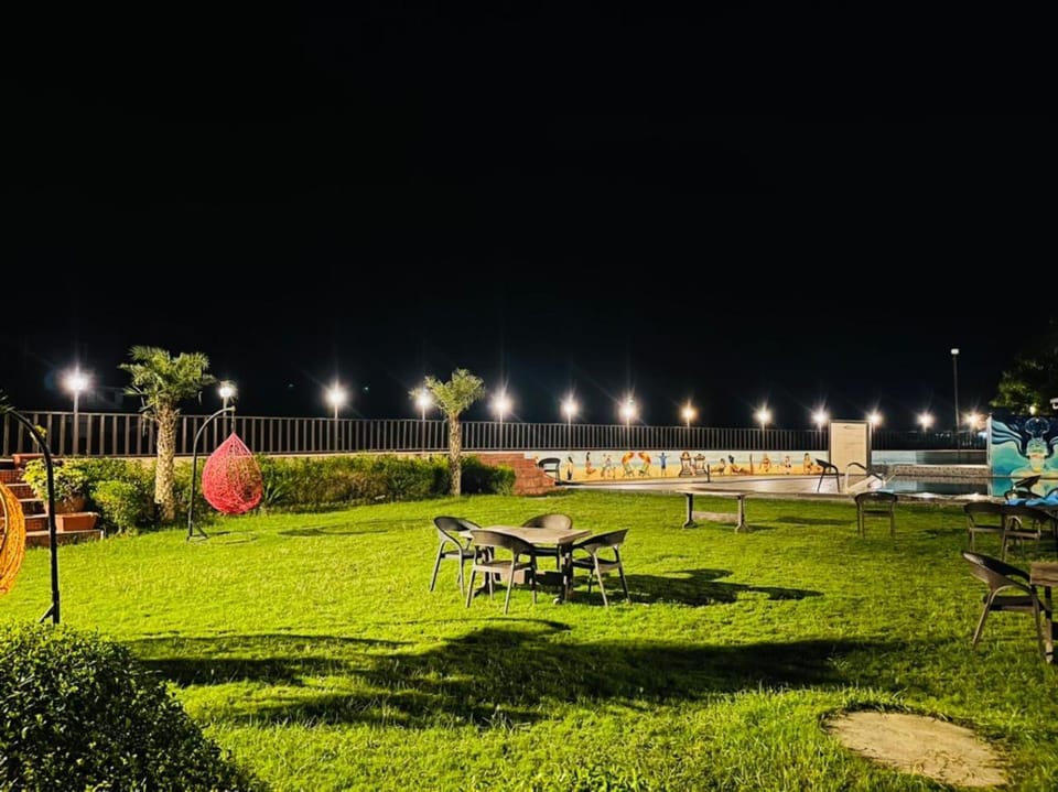 Night, Garden, Garden view