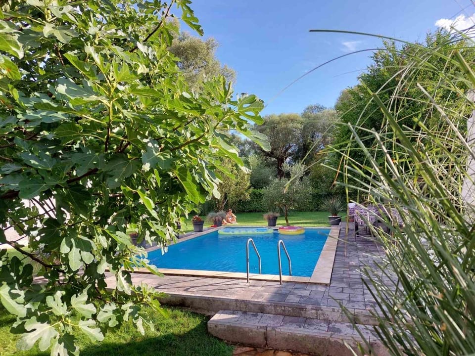 Garden, Garden view, Pool view, Swimming pool, sunbed