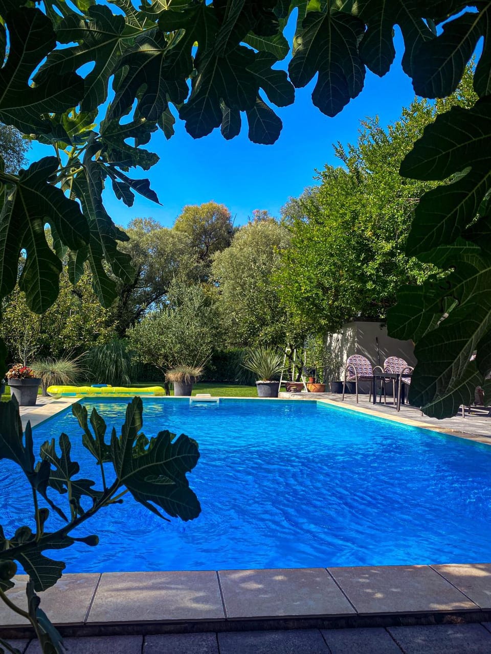 Day, Natural landscape, Pool view, Swimming pool
