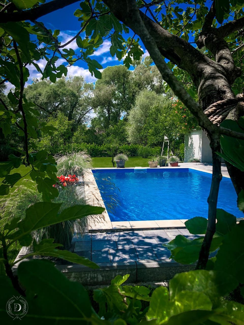 Pool view, Swimming pool, Swimming pool