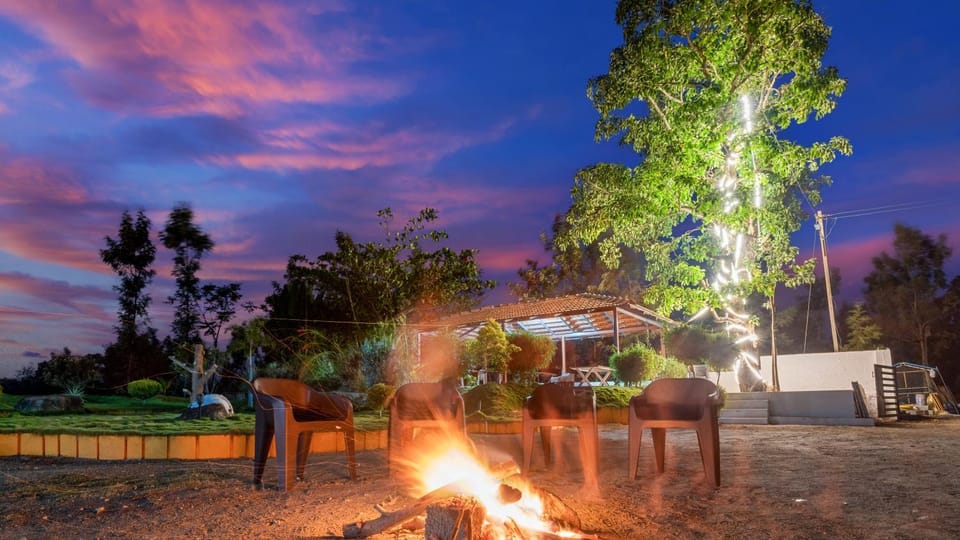 Night, Garden view
