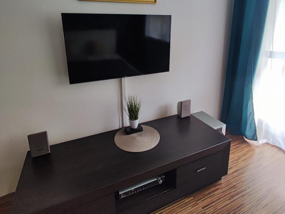 TV and multimedia