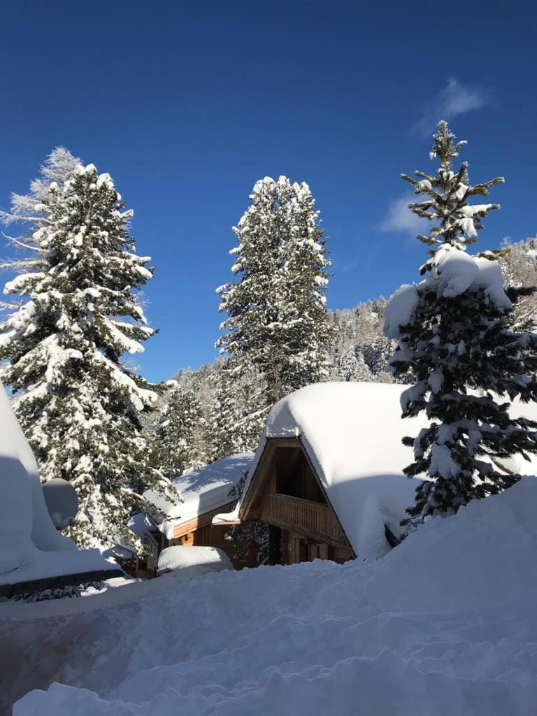 Turrach Chalet Haus Dachs Chalet in Carinthia, Austria