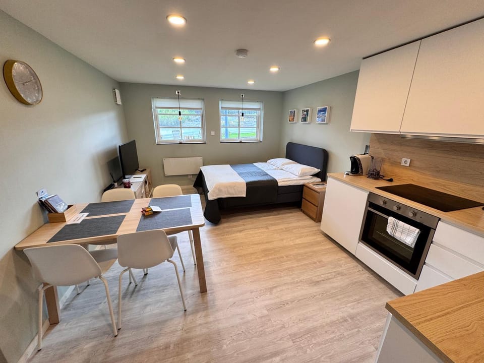 Kitchen or kitchenette, Living room, Seating area, Bedroom