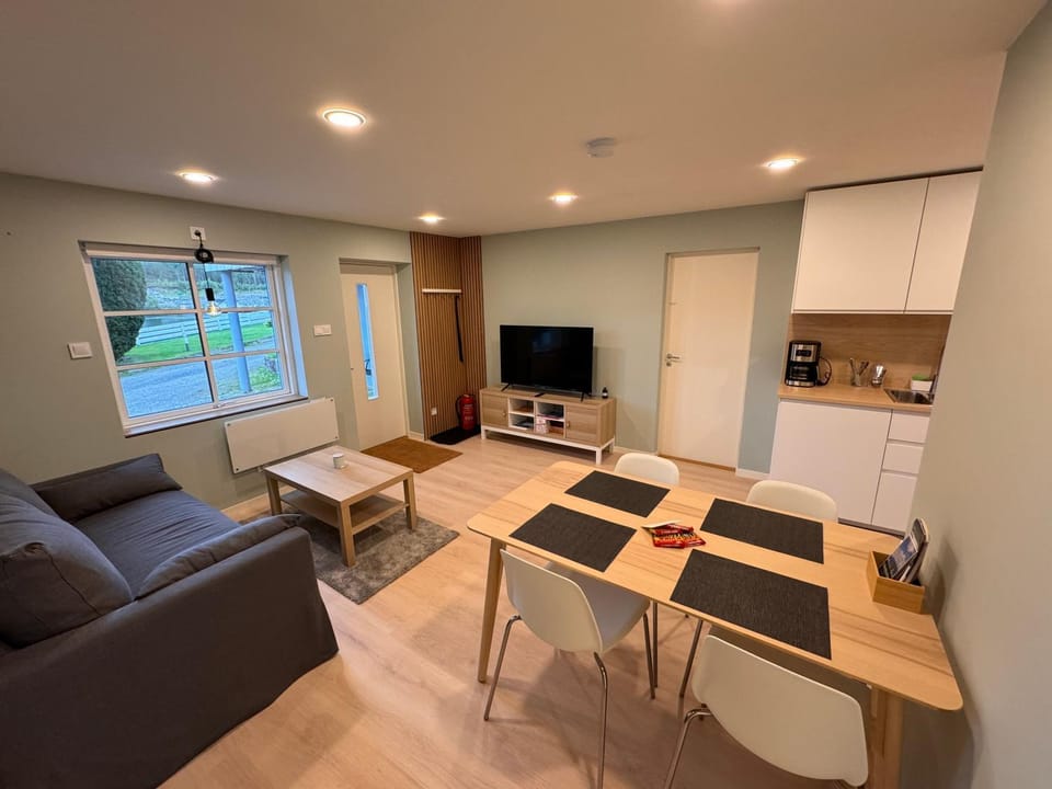 TV and multimedia, Kitchen or kitchenette, Living room, Dining area, oven, kitchen